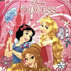 【新品未使用】バスタオル　ブランケットディズニープリンセス 大判