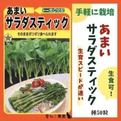 【野菜の種】サラダスティック５０粒　とっても甘くて生食もできるスティック野菜