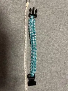 Item thumbnail for item fa7a4c50-e72b-40d5-bdef-c23a45fee87b