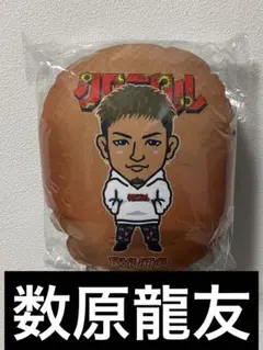 2025年最新】数原龍友クッションの人気アイテム - メルカリ