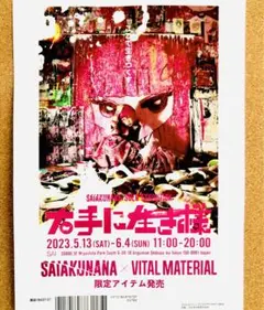 さいあくななちゃん SAIAKUNANA アナログ レコード LP さいあくななちゃん SAIAKUNANA アナログ レコード LP
