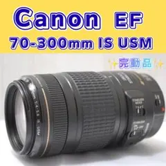 ✨完動品✨Canon EF 70-300mm IS USM 望遠レンズのサムネイル