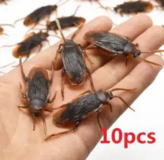 Item thumbnail for item e0cd7687-8e22-4413-88d1-5959a3447606