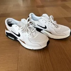 ナイキ エア マックス エクシー DZ2619-001 24cm