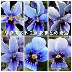カッキー様 リクエスト 2点 まとめ商品