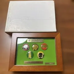 シャンシャン9歳 雅安碧峰峡基地誕生記念メダル3個セット 化粧箱入 