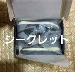 シークレット NIKE Air Jordan 1 ナイキ ミニチュアコレクション