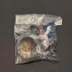 ポケットモンスター　フィギュア ミニチュア ポケモン　オオスバメ　ボトルキャップ