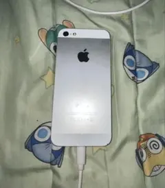【早い者勝ち!!】iPhone5 本体 /平成っぽい写真撮るのに最適☆
