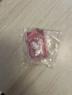 HELLO KITTY パッケージミニチュアコレクション チャーミーキティ