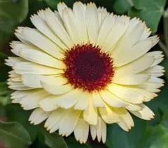 crow様 リクエスト 4点 まとめ商品