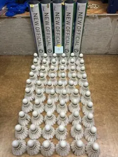 Item thumbnail for item a33c1a1f-8557-4ca4-84ec-6fa59865a77e