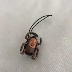 こびとづかん　カブトヨソオイ