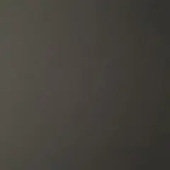 コスモス様専用