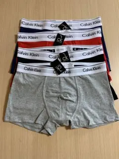 Calvin Klein ボクサーブリーフ 4枚セット多彩なカラー　M