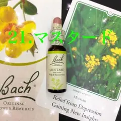 Item thumbnail for item 35df4fe7-1b70-4252-986e-59156c45c123