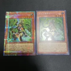 日本版遊戯王 セネトの啓示者－ネフェルタリ プリズマ、シークレット
