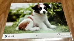 Item thumbnail for item 56606101-fdb2-4cdb-8d83-20233bc48aa3