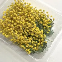 スミレ様　専用