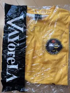 Item thumbnail for item 0bb10f1e-5215-4ce1-94be-fa0db54b2be5