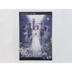 【Fate/stay night】インフォメーションカード No.48