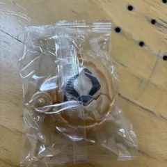 クワガタシードエグズ