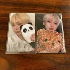 一直娱 yizhiyu 3.0 パンダ 4.0 クマ 中華 トレカ ソヌ