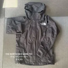 THE NORTH FACE GORE-TEX マウンテンパーカー　S