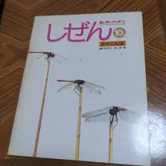 2025年最新】昭和 キンダーブックの人気アイテム - メルカリ