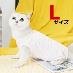 Item thumbnail for item 7b17f959-fafd-496f-8294-a0f7b648c81d