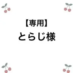 【とらじ様専用】オーダー