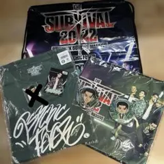 PSYCHIC FEVER THE SURVIVALTシャツ　セットWEESA