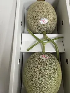 産地直送！肥後グリーンメロン甘くて美味しい❗️2玉入4Lサイズ！箱込4.7キロ前後のサムネイル