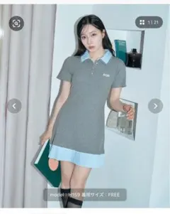 グレー ポロシャツ 半袖 FREEサイズ ポロワンピ　ANDGEEBEE