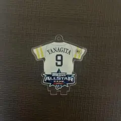 柳田悠岐 応援グッズ