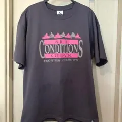 美品！NIKE ACG Tシャツ ALL CONDITIONS GEAR