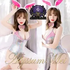 セクシーエナメルバニーガール水着コスプレ衣装レオタードボディスーツハロウィン大人