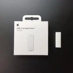 USB-C to Apple Pencil Adapter