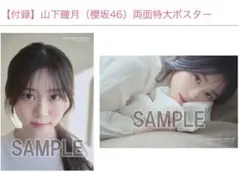 Item thumbnail for item 18daa89d-8d1c-471a-8cd5-3de09db37872