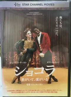 ショコラ 君がいて、僕がいる DVD