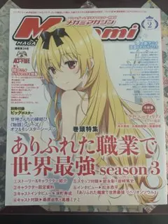 メガミマガジン　2025年2月号　別冊付録ビッグポスター欠品