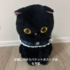 mofusand 黒仔猫にゃんBIGぬいぐるみ　ブルー/ボルドー【タイトー限定】