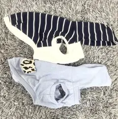 Item thumbnail for item 9e215e02-b8bd-4954-84b6-1a7f95ade05c