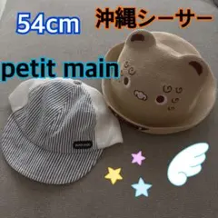 Item thumbnail for item e4beecf1-d1df-4917-9c74-3dd625269b0d