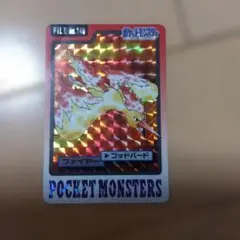 ポケモン カードダス ファイヤー FILE No.146 ポケモンカード - メルカリ