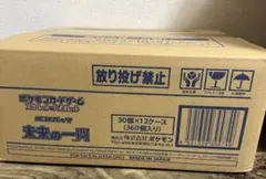 ポケモンカード 未来の一閃 カートン 未開封