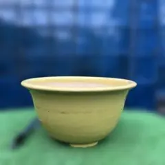 盆栽鉢記念鉢鴻陽 盆栽鉢記念鉢鴻陽 - メルカリ