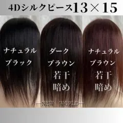 新世界信 4Dシリーズ 2026技術 ウィッグ 50cm 47-50cm | Mercari