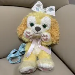 即購入◎美品ホワイトウィンタータイム　ワンダーズクッキーアン ショルダーバッグ