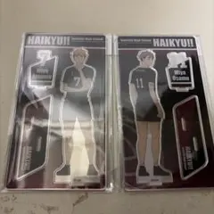 宮治　宮侑　共闘　アクリルスタンド　ハイキュー